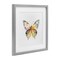 Stupell Industries Watercolor Butterfly Subtlety Framed Print Under Glass, design by Kim Allen